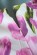 Kvetovane letni spolecenske saty s volnou sukni nad kolena – barevne S-324-Multi (7)